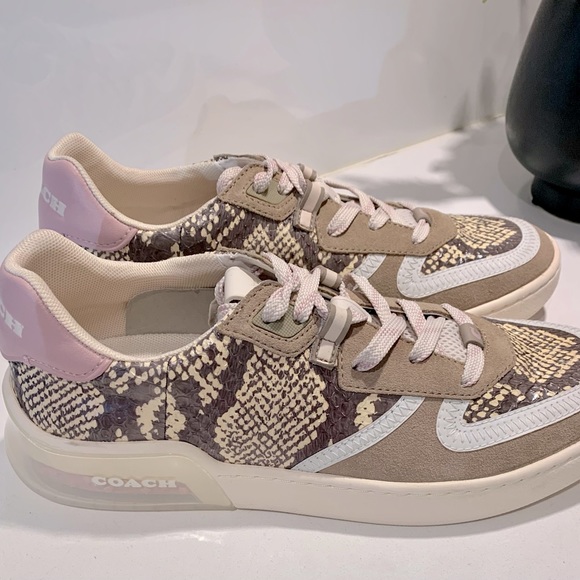 COACH SNEAKERS NWOT - Picture 3 of 4